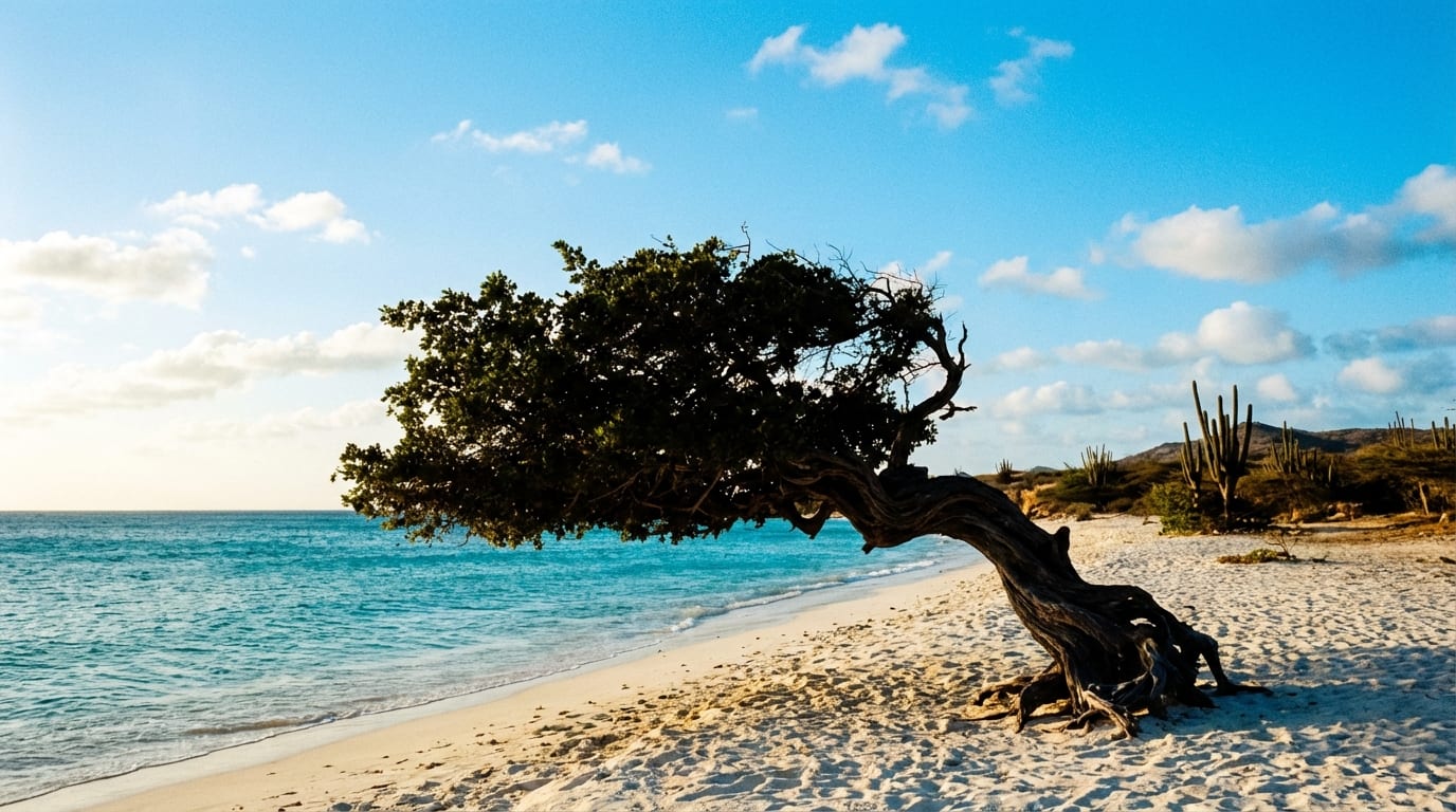 Aruba