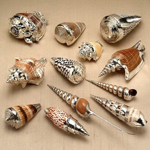 DIY Gorgeous Gilded Seashell Decorations With Chrome Paint — photo 2