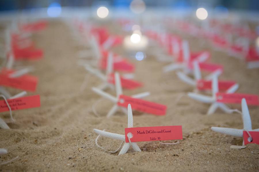 Pink and Navy Nautical Beach Wedding — photo 12
